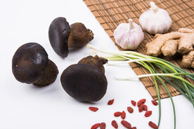 鲜牛肝菌