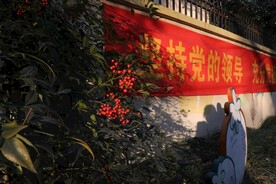斜阳