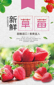 草莓海报