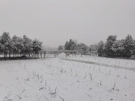 美丽的雪景