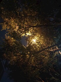 路灯下