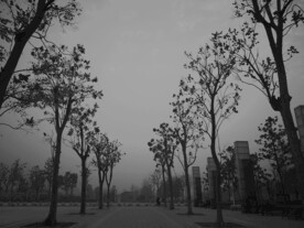 阴霾