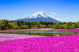 日本旅游风光         