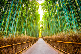 日本旅游风光         