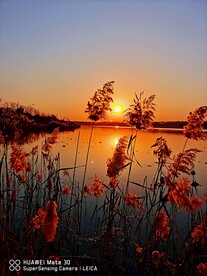 夕阳景色