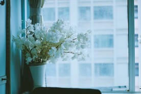 鲜花花朵花瓶 