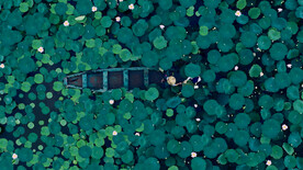 2K高清电脑壁纸  荷塘泛舟