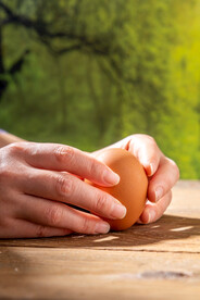 节气春分手拿鸡蛋木桌