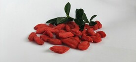枸杞