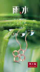 珠宝雨水