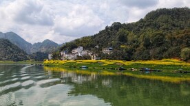 婺源 油菜花 春天 黄色 山 