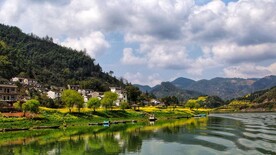 婺源 油菜花 春天 黄色 山 