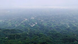 俯瞰竹海