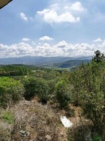 蓝天白云 山地森林风貌