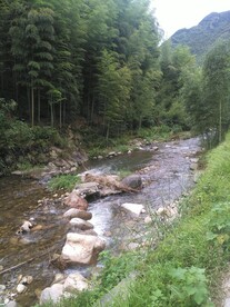 山涧小溪 春天旅游