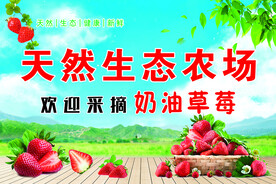 天然生态奶油草莓农场