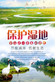 清新保护湿地环保宣传海报设计