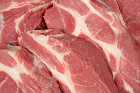 生肉 