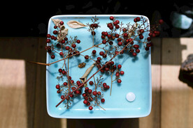 山上采来的野果