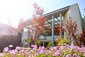 大学校园 