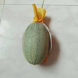 哈蜜瓜
