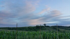 天空
