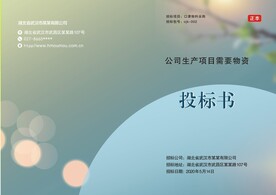 标书封面