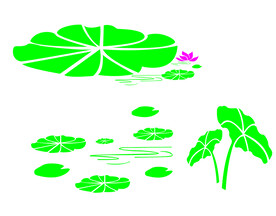 荷花荷叶