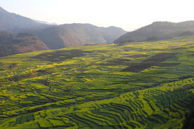 新民梯田