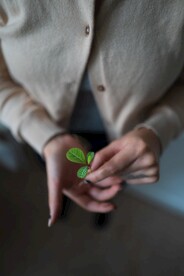 植树节