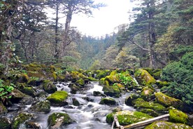 螺髻山-溪水