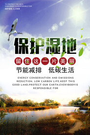 绿色保护湿地公益活动环保宣传