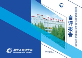 自评报告