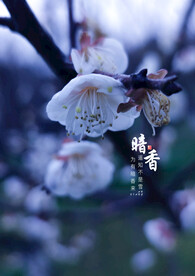 暗香
