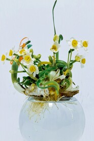 水仙花