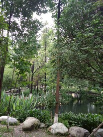 新都桂湖公园
