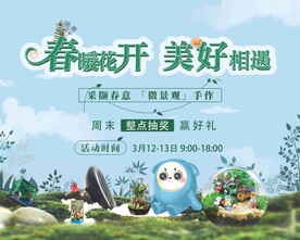 春季抽奖背景