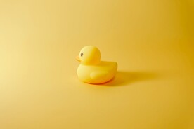 小黄鸭