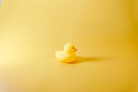 小黄鸭