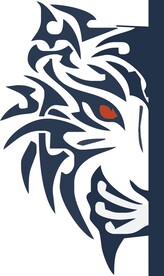 老虎 京剧