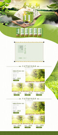 春季新茶春茶上市淘宝天猫首页