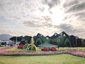 美丽城市建设 花与美