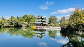丽江 黑龙潭 公园 蓝天 白云