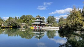 丽江 黑龙潭 公园 蓝天 白云