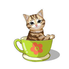 茶杯猫            