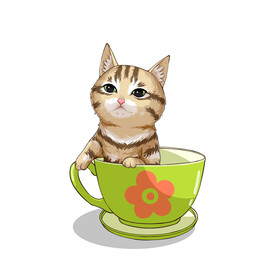 茶杯猫            