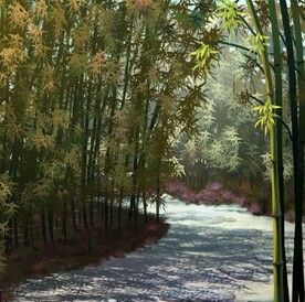 林荫场景插画