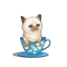 茶杯猫            