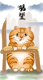 萌主猫            