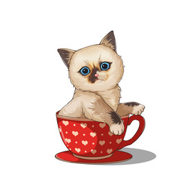 茶杯猫            